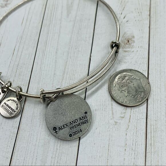 Alex and Ani Ohm Bracelet - Picture 2 of 2